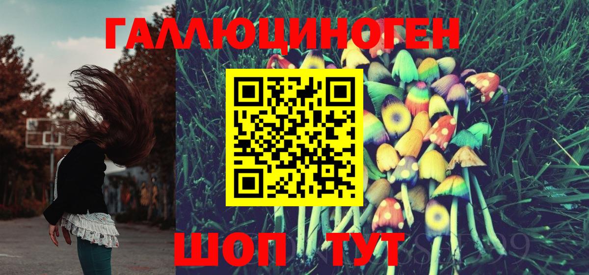 Псилоцибиновые грибы MAGIC MUSHROOMS  Псилоцибиновые грибы Psilocybine cubensis  Гусиноозёрск  Вход с VPN 