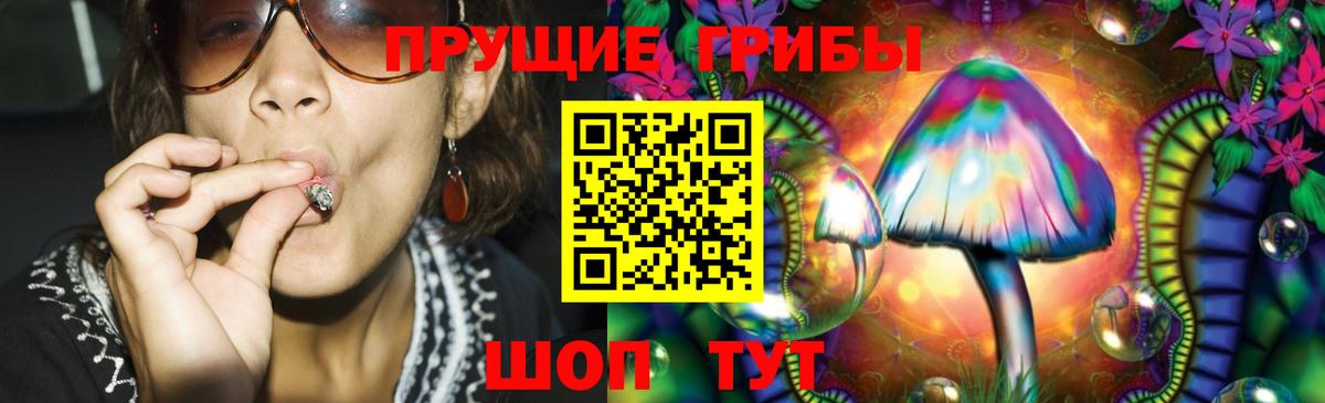 Галлюциногенные грибы Magic Shrooms Гусиноозёрск